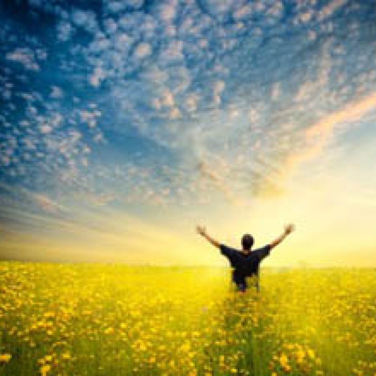 freedom